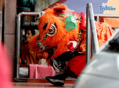 Lion dance 