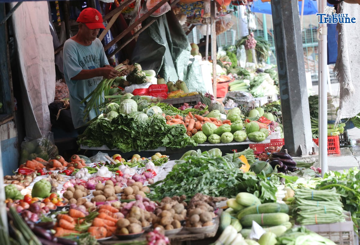 ANALY LABOR