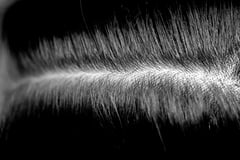 The case for complete hair and scalp care