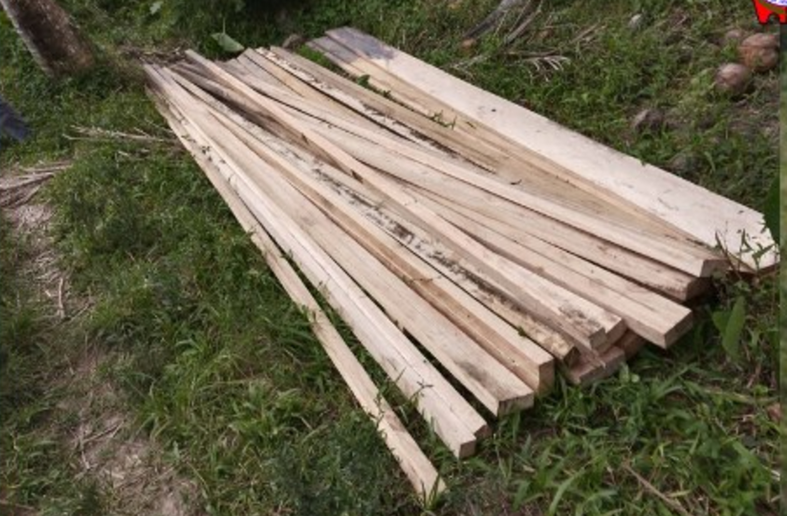 Authorities seize endangered Bagtikan lumber in Aurora town