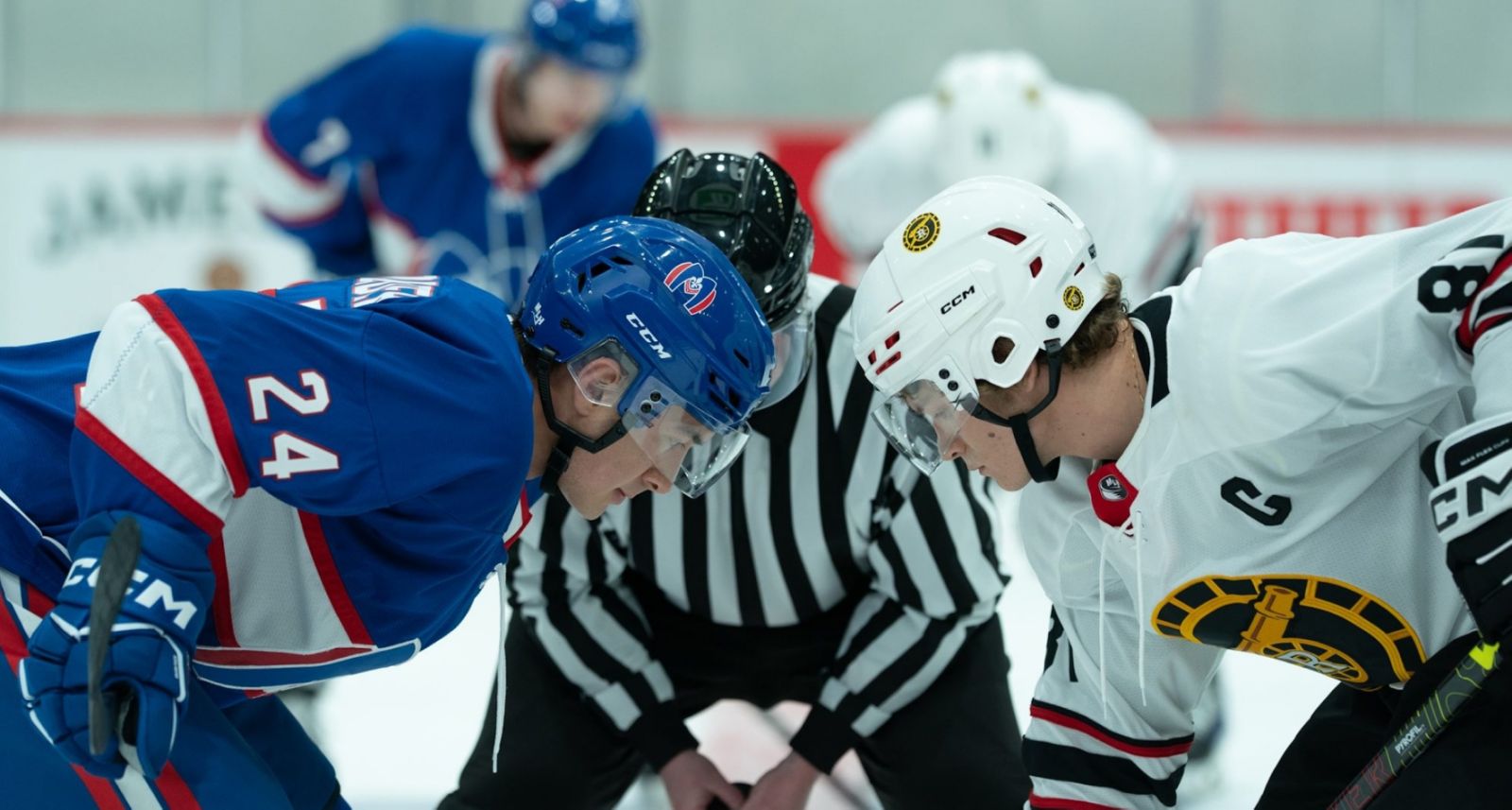 'Heated Rivalry’ skates into the spotlight