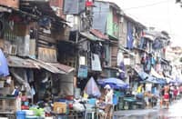 14-M families rate selves poor — SWS
