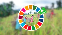 Agri subsidy eyed for biodiversity-friendly farming