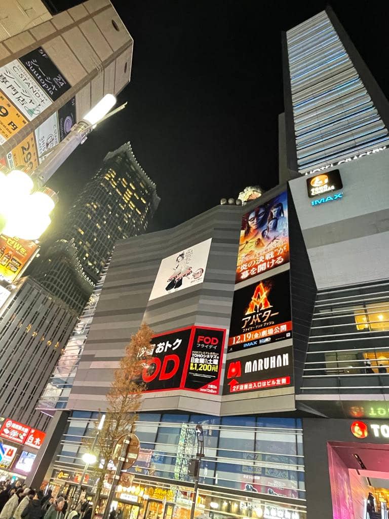 COUNTRY of contrasts From serene Zen stillness to bustling streets, from
steaming bowls to glittering festivals, Japan in January feels like a dream
stitched together — delicate as sakura, bright as Tokyo, and unforgettable as
the first snowfall.