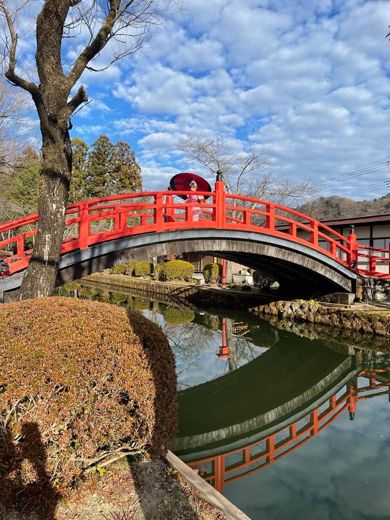 COUNTRY of contrasts From serene Zen stillness to bustling streets, from
steaming bowls to glittering festivals, Japan in January feels like a dream
stitched together — delicate as sakura, bright as Tokyo, and unforgettable as
the first snowfall.