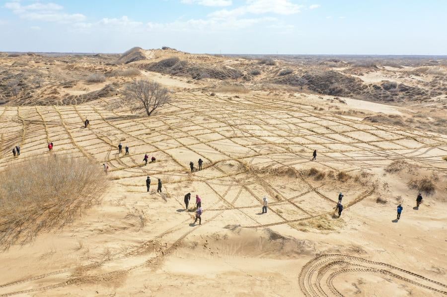 China’s anti-desert drive delivers gains, raises risks