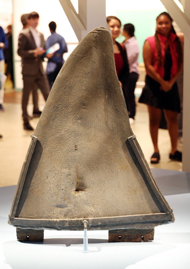 Illegal shark fin trade threatens protected species, study warns