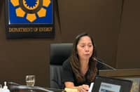 Energy Secretary Sharon S. Garin