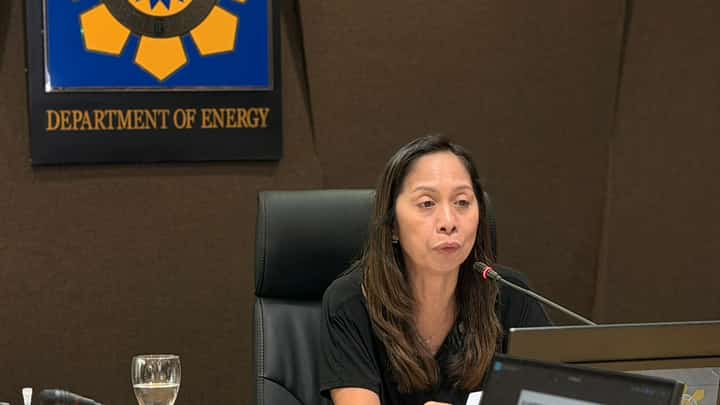 Energy Secretary Sharon S. Garin holds a media briefing on Tuesday to discuss the agency's plans to hit its national targets amid contract cancellations.