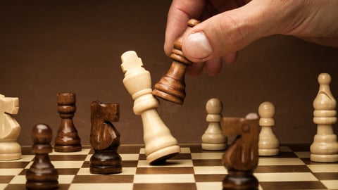 WR Bughouse chessfest set