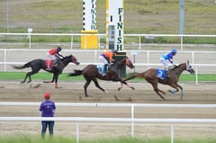 Buzz Rocket wins PHILRACOM–PCSO Imported/Local Challenge