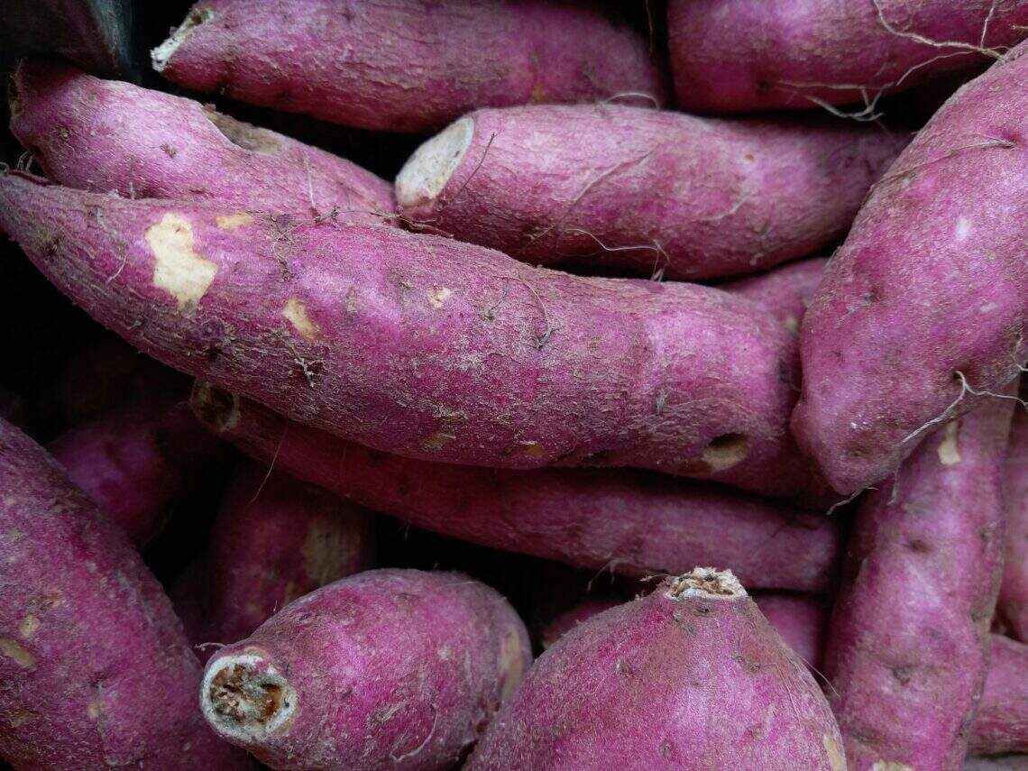 Is ube the new matcha?

