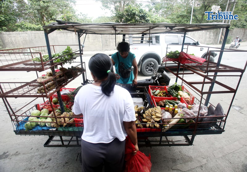 Vegetable on the go