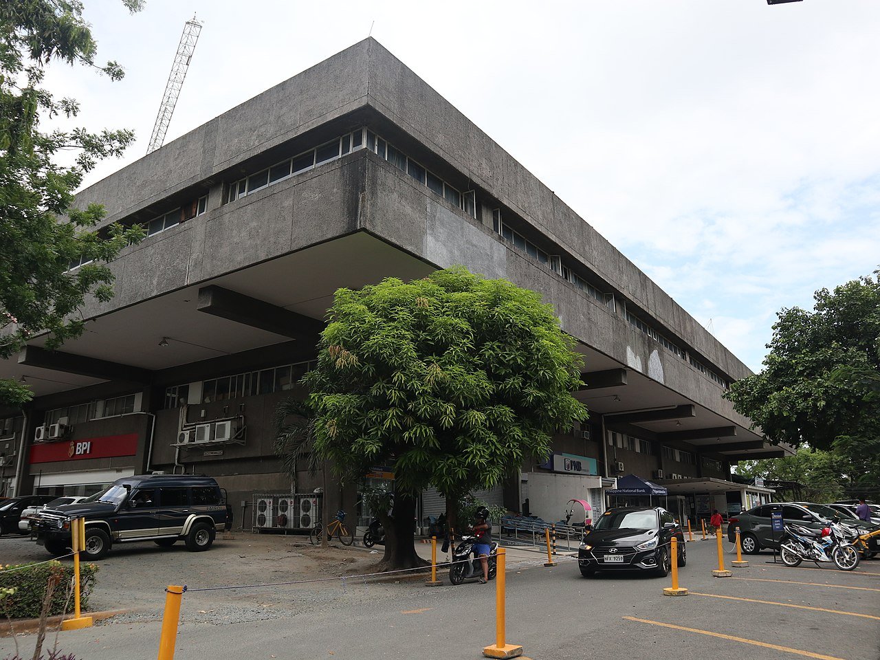 FTI targets 80% mung bean buy to cut imports