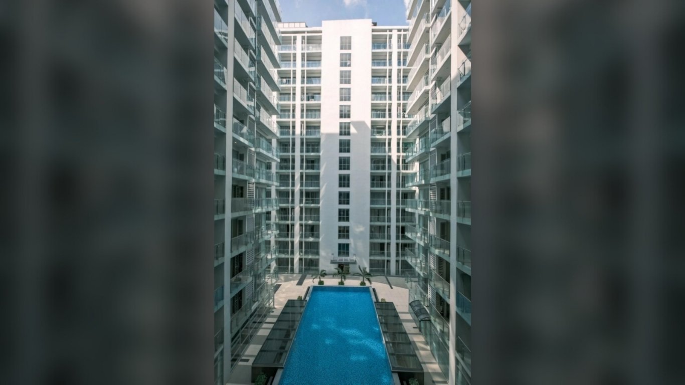 A nature-inspired escape within the bustling city