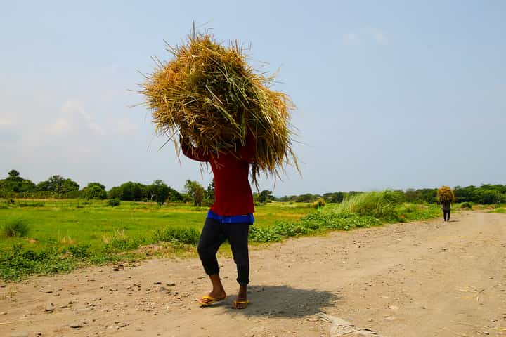 Bukidnon farmers demand faster land title issuance amid DAR report