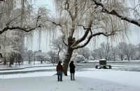 Two figures pause beneath snow-laden branches, taking in the quiet beauty of a city park stilled by winter’s deep freeze
