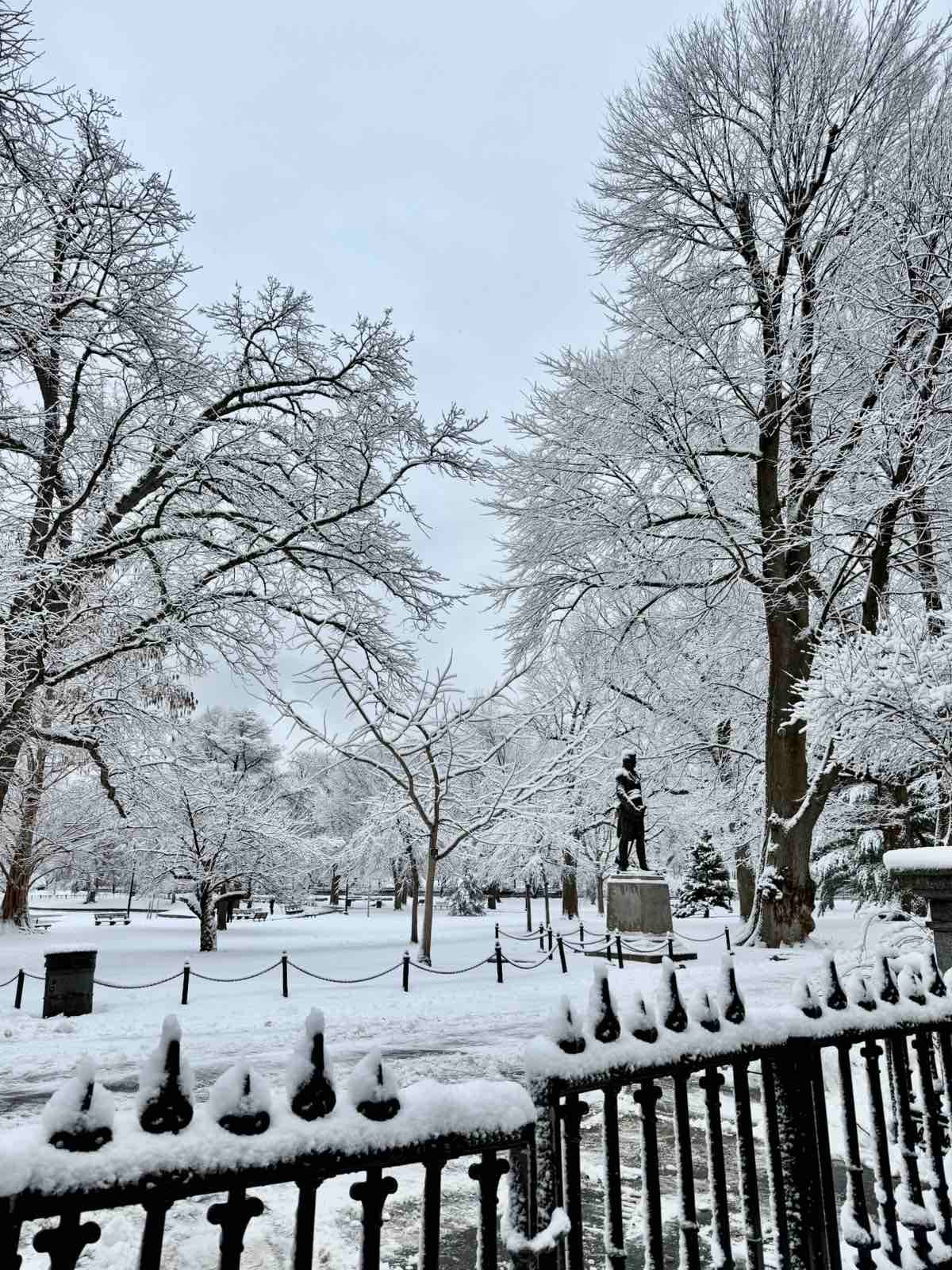 Snow blankets a city park as frost-covered trees and statues stand