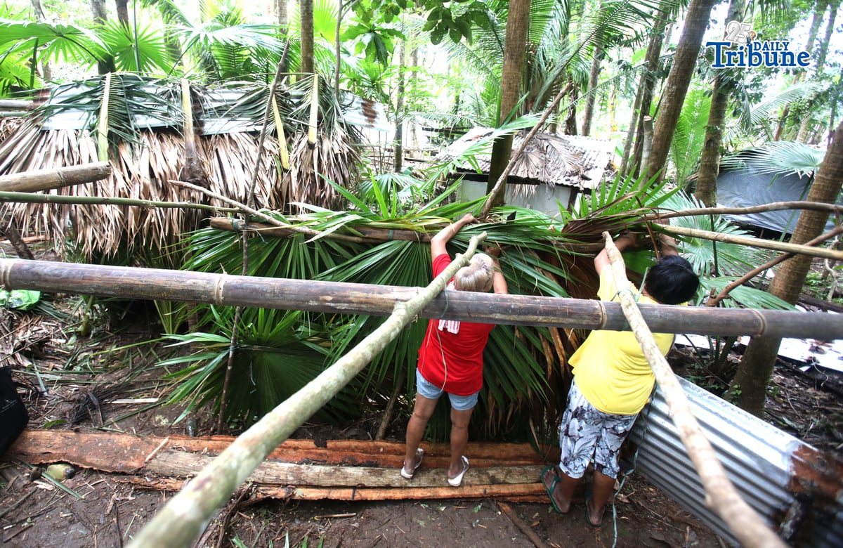 ANALY LABOR