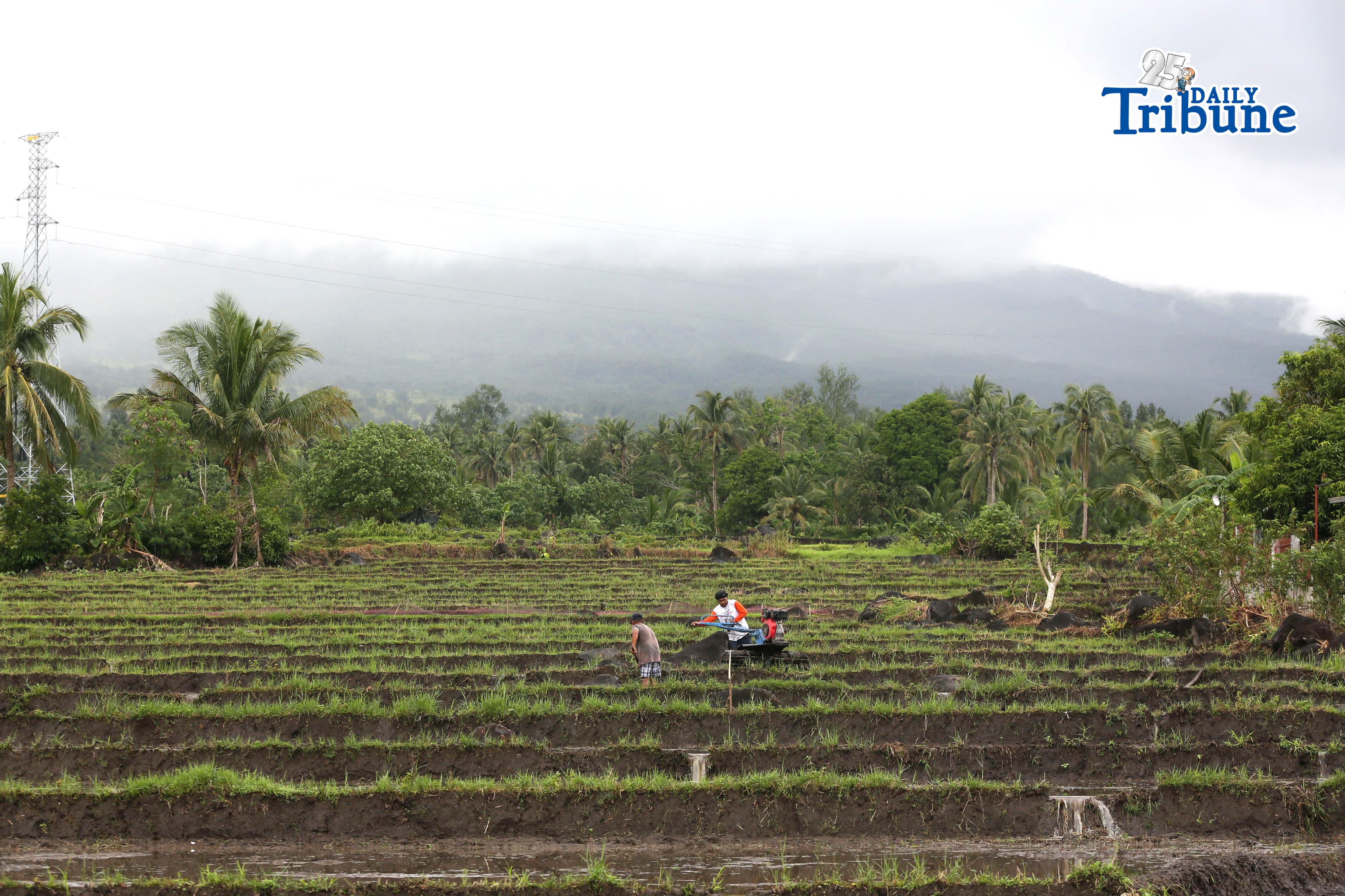 Farmers in Legazpi, Albay