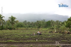 Farmers in Legazpi, Albay