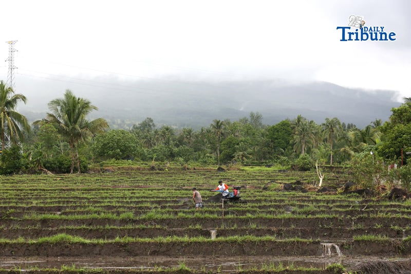 Farmers in Legazpi, Albay