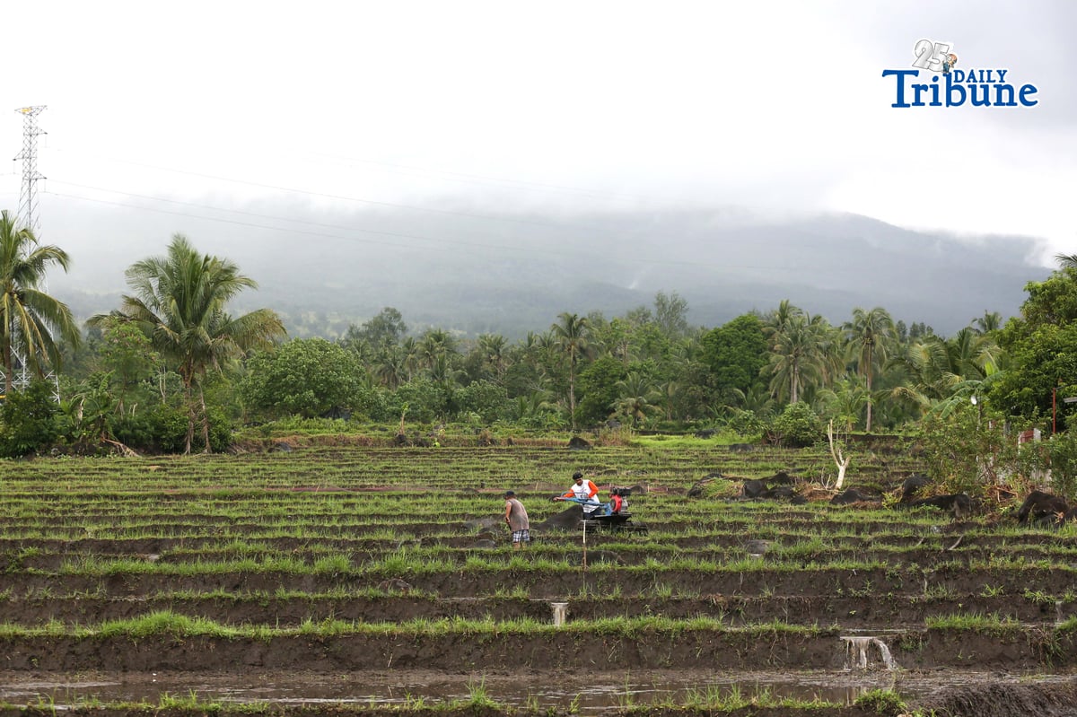 Farmers in Legazpi, Albay