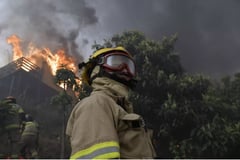 Chile declares emergency as wildfires claim 19 lives