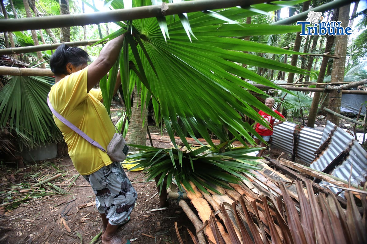 ANALY LABOR