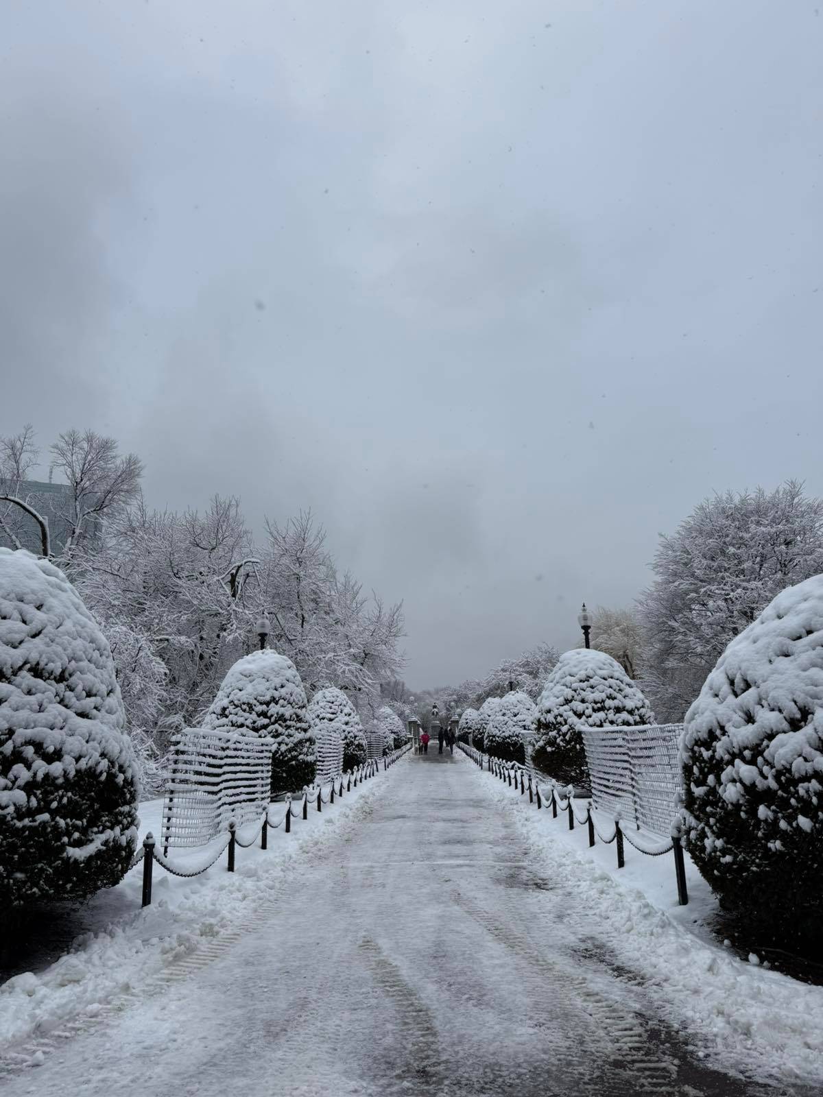 A quiet winter walk as snow-lined paths stretch ahead, turning the city into a calm, picture-perfect scene
