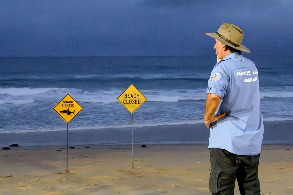 Surfers warned after four shark attacks hit New South Wales in 48 hours