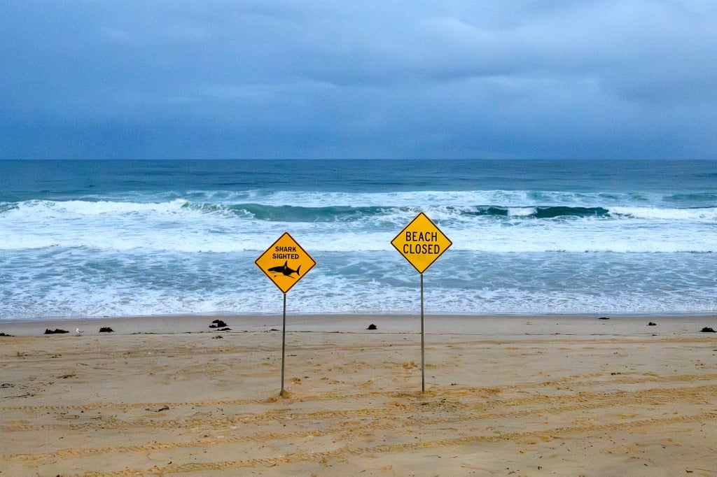 12-year-old critically injured in Sydney Harbor shark attack
