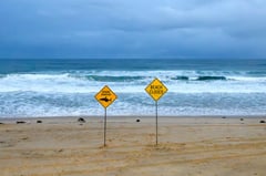 12-year-old critically injured in Sydney Harbor shark attack