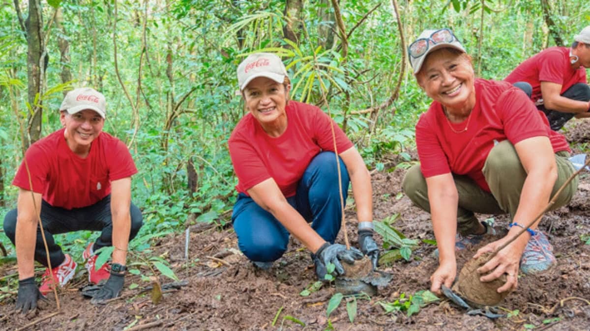 COCA-COLA Philippines employee volunteers plant native seedlings as part of ongoing reforestation efforts.