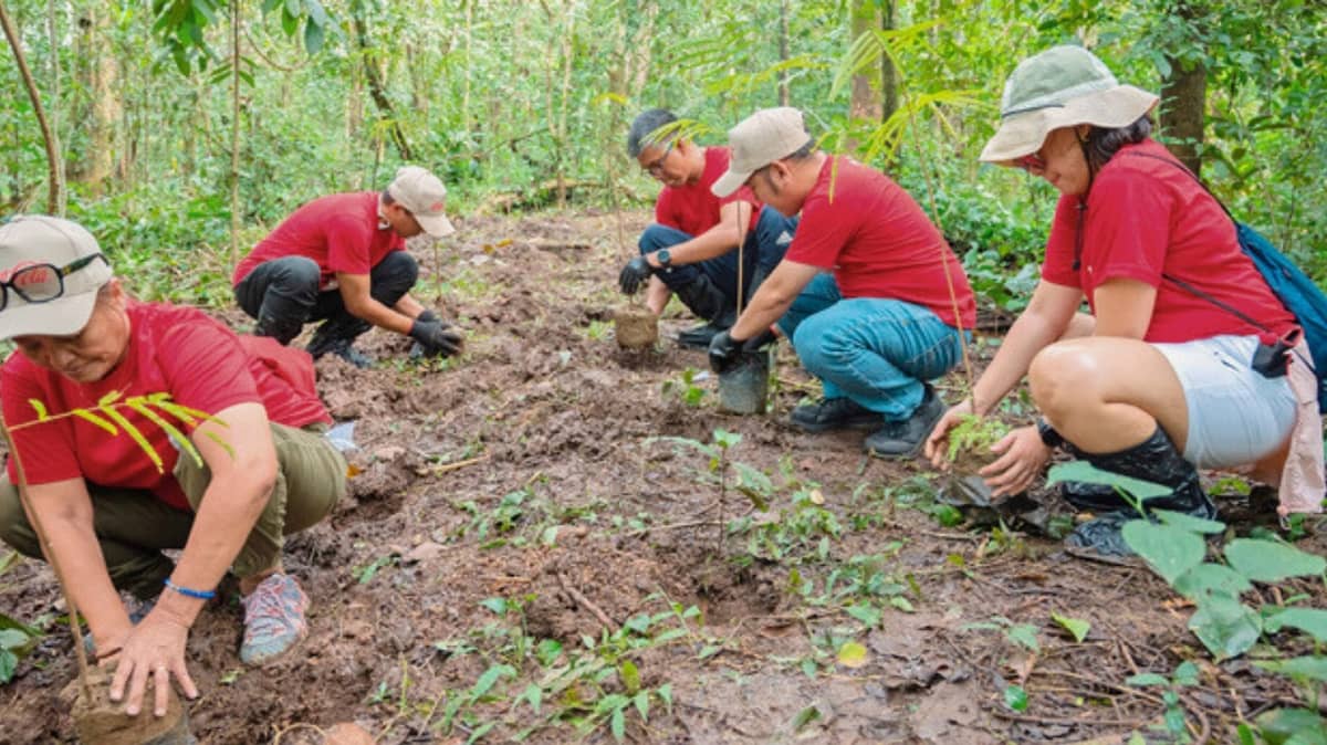 COCA-COLA Philippines employee volunteers plant native seedlings as part of ongoing reforestation efforts.