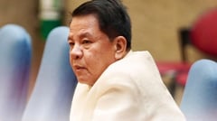Leviste flags Gardiola-linked DPWH contracts