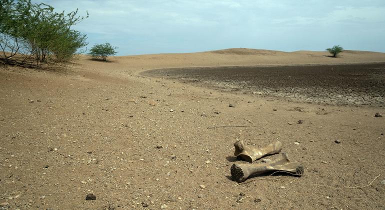 UN warns world facing era of 'water bankruptcy'