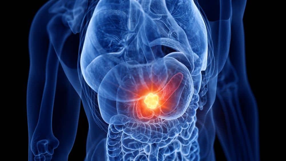 ENDOCRINE diseases such as diabetes, thyroid disorders, osteoporosis and obesity are chronic, often lifelong conditions.