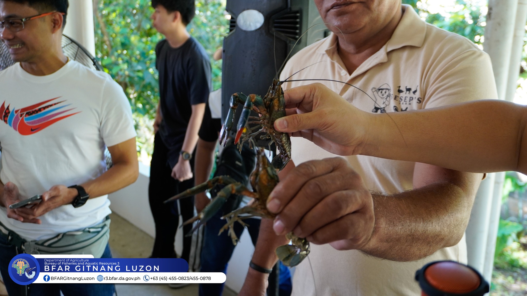 BFAR, Villar Foundation train farmers on catfish, crayfish production