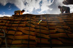 Philippines resumes rice importation