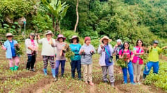 DSWD project produces water sites, farms in Mountain Province
