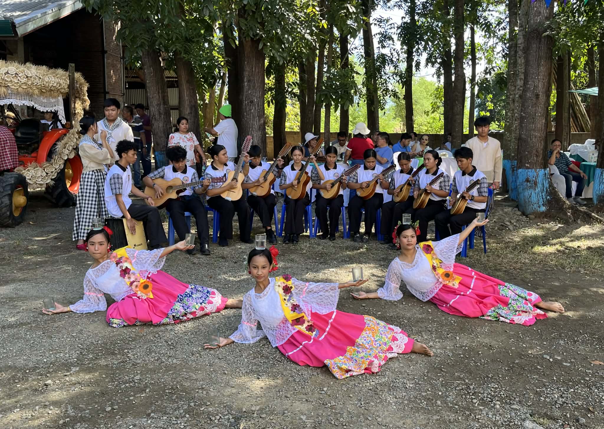 LOCAL folk dancers perform to live music.