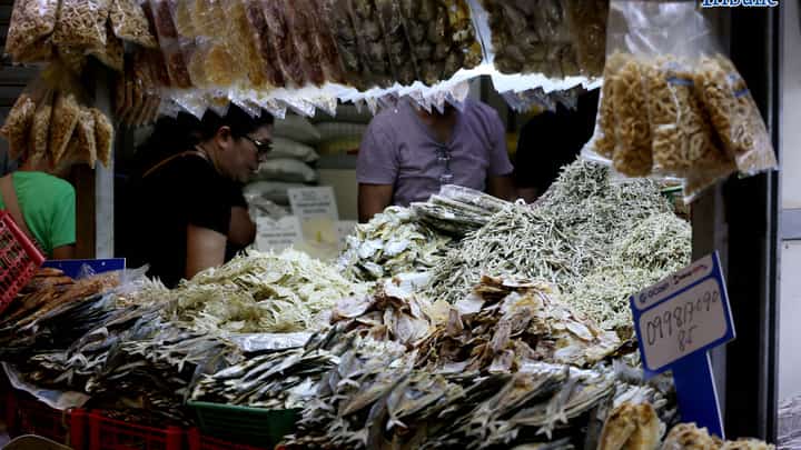 PRO6 nets P10.9M in illegal fishing operations, arrests 118