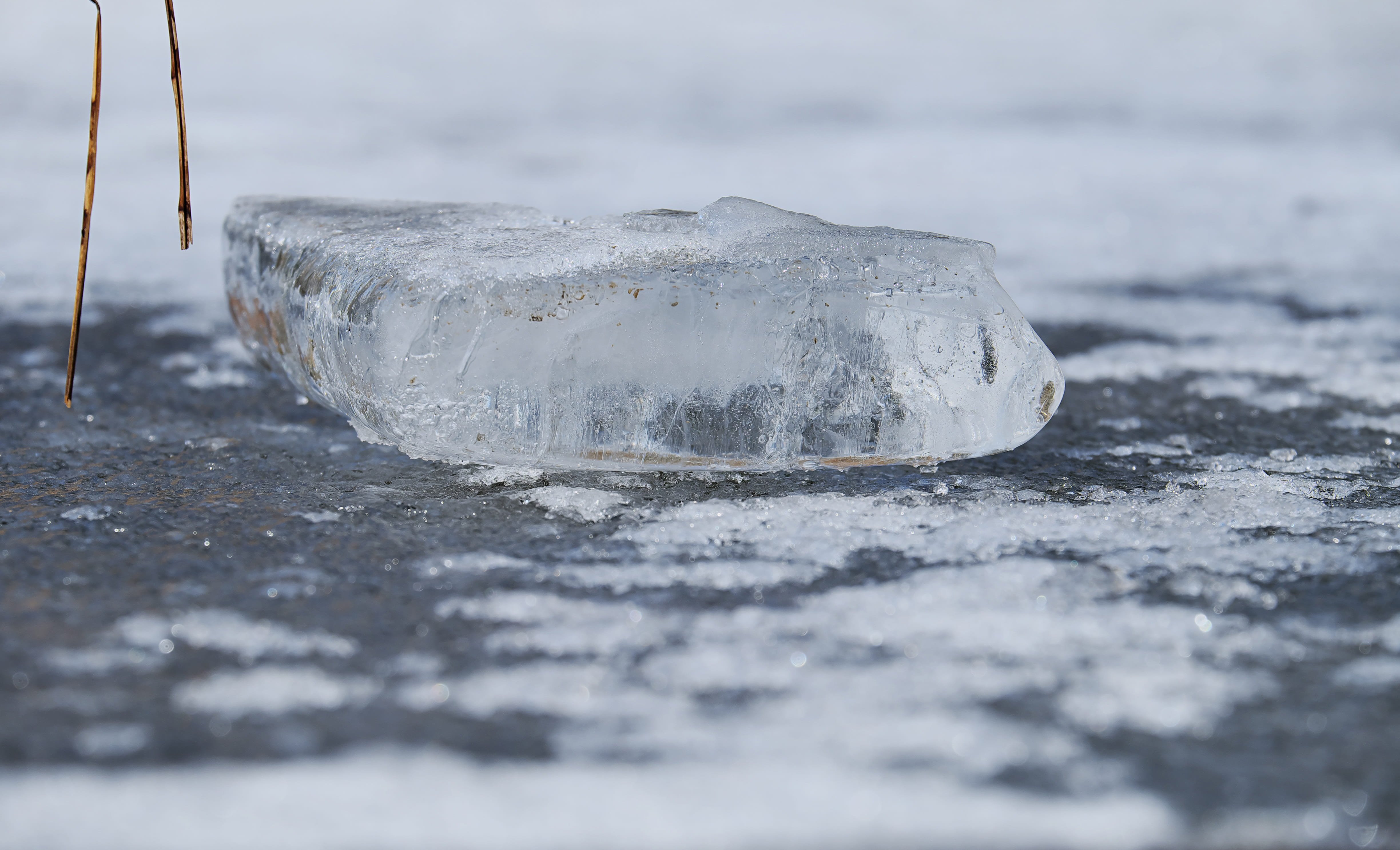 Three brothers die after falling into icy pond in North Texas

