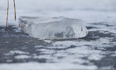 Three brothers die after falling into icy pond in North Texas