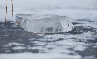 Three brothers die after falling into icy pond in North Texas


