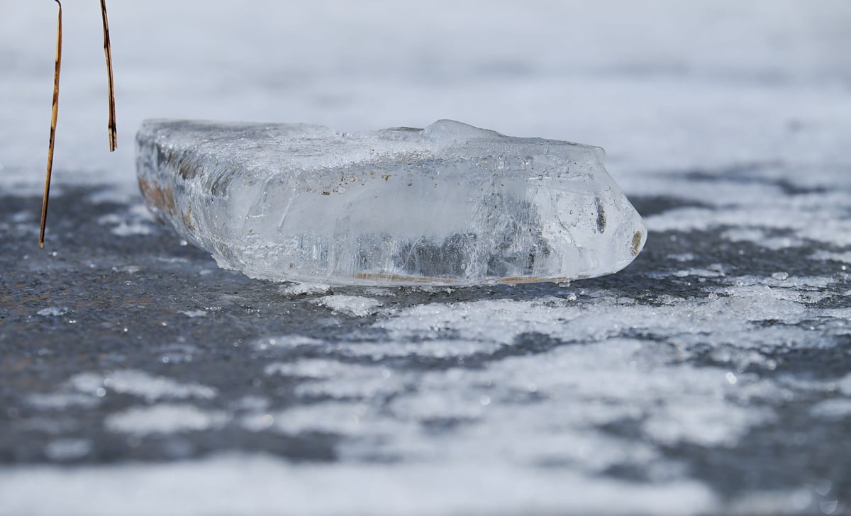Three brothers die after falling into icy pond in North Texas