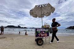 National fruit label acai seen warding off ‘biopiracy’