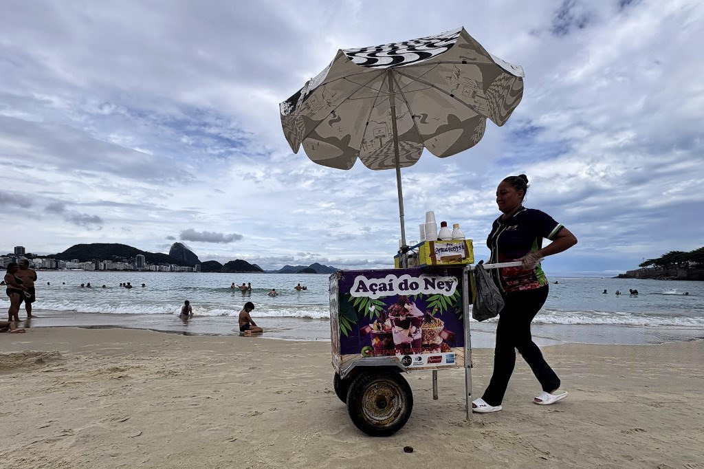 National fruit label acai seen warding off ‘biopiracy’