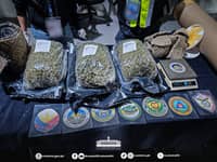 P6.16M kush declared as polyester rug seized in Clark